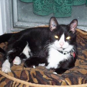 Meet your Posher, Brenda